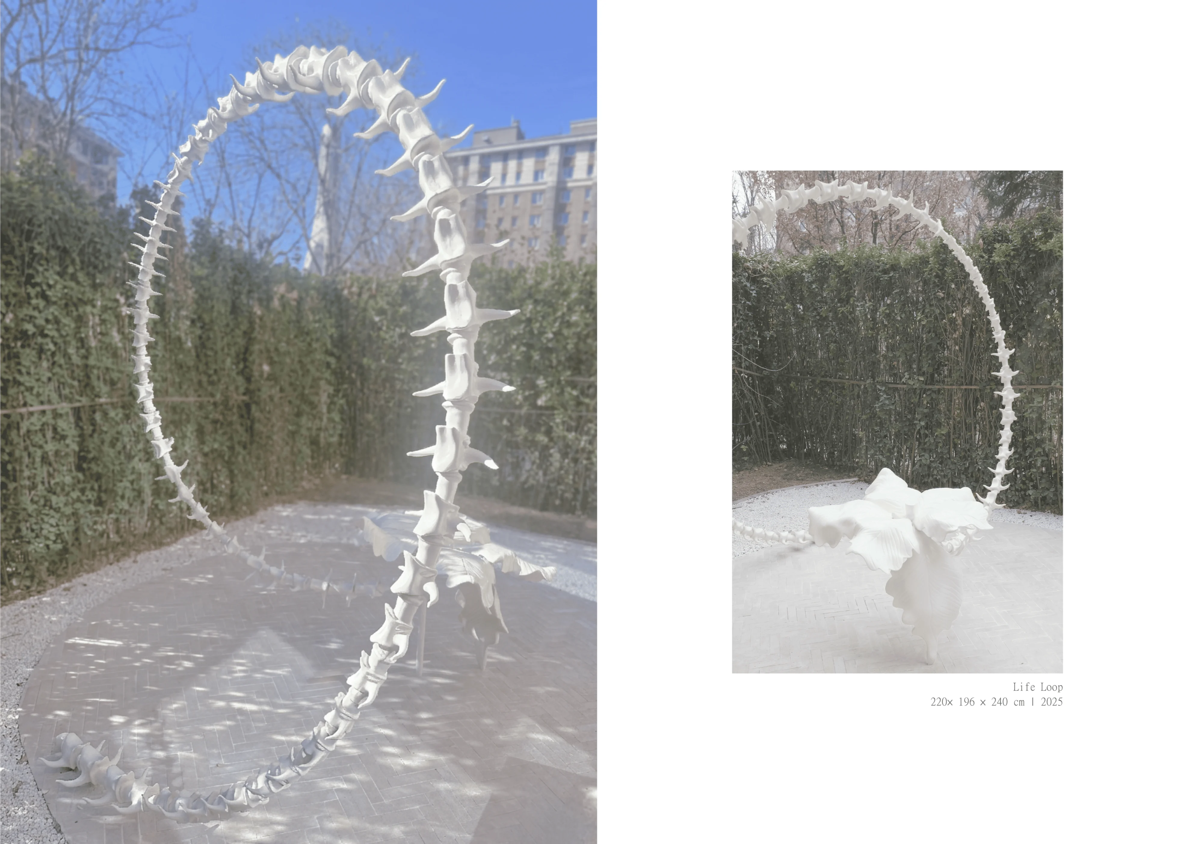 Life Loop Detail 1