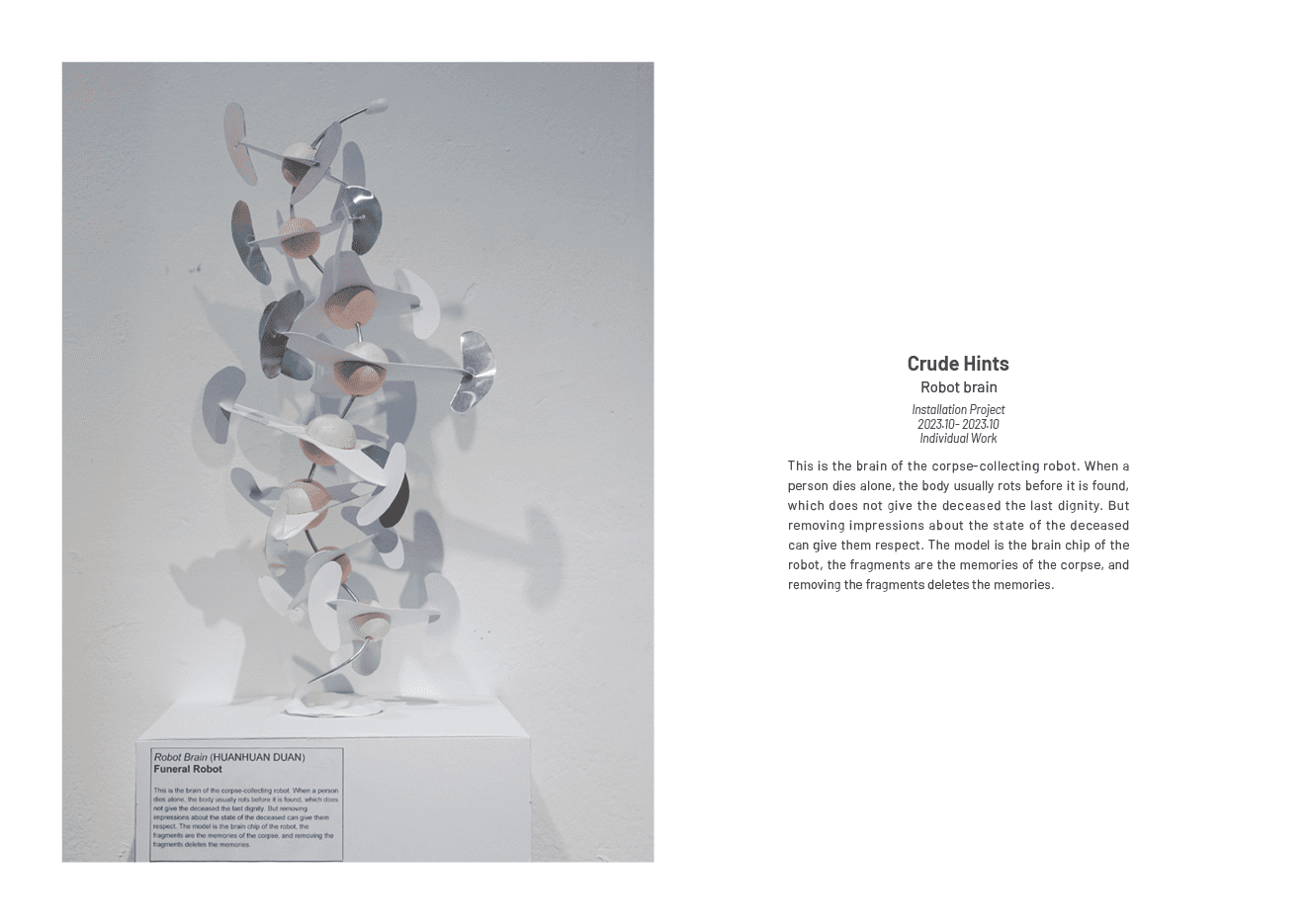 Robot Brian Cover